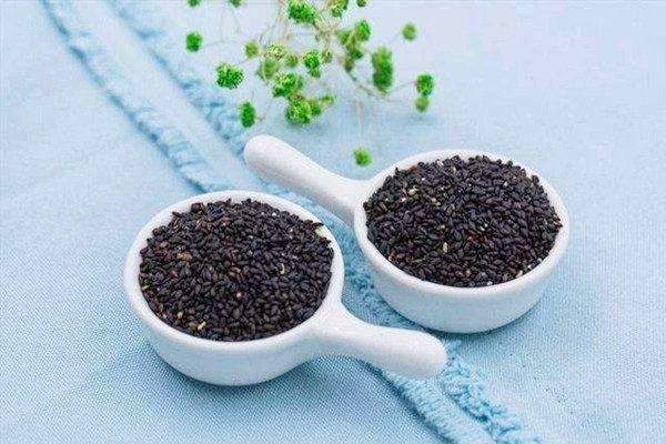 黑芝麻可以泡水喝吗 黑芝麻可以补血吗